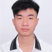 Hieu Vo Minh