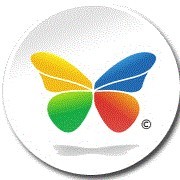 Vidushi Infotech - Human Resources Department