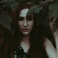 Meagan Shreve