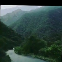 علي الغامدي