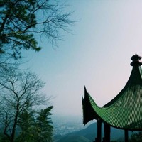 张柳柳
