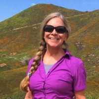 Julie Wininger