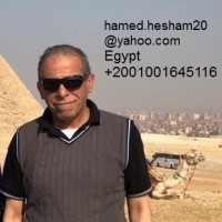 Hesham Hamed