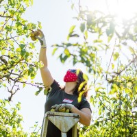 Heather Keisler Fornes