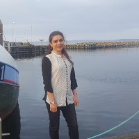 Saeideh Najdyar