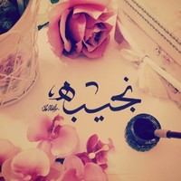 Najeebh Alsharfa, VAT Specialist