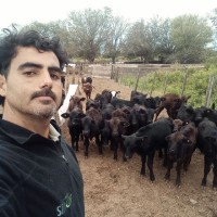 Dan Recuero