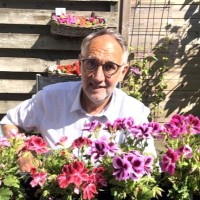 Jan Luiten