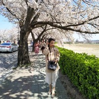 Do Tu Anh (Cherry)