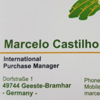 Marcelo Castilho