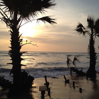 İbrahim Gokhan Karadol