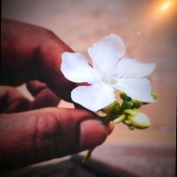 Dhinesh kumar V😋