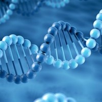 R Nano Biotech