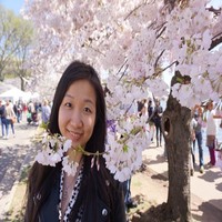 Yiming Tan, CPA