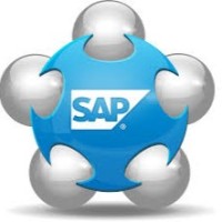 Srinu Sap