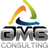 GMS CONSULTING