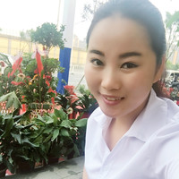 夏徐红