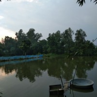 Rasheduzzaman (Raj)