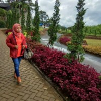 Santi Fauziyah Arifin