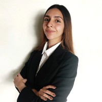 Camila A. Ardiles