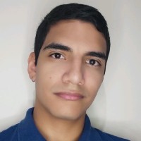 David Ricardo Perafan Ayala