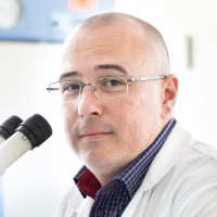 Daniel Coutu