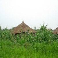 Kon Akoy