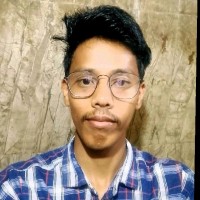 Debashis Ray