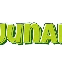 muhammad junaid