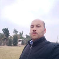 hisham Radwan