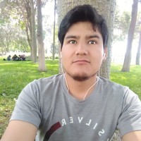 Maurodenis Estrada Flores