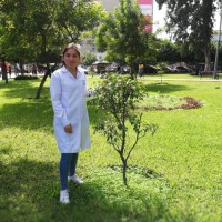 Katherine Sarmiento Calderon