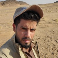 Amr Al-Ammari