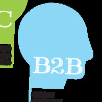 B2B Media Consultant