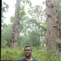 Sultan Md Sazzad Hossain, Mieaust, Ner