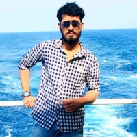 Arya Veer