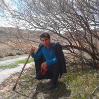 مصطفی قاسمی