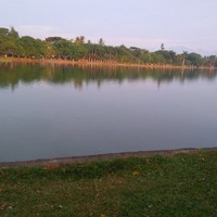 Hong Anz