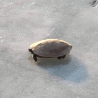 정용훈