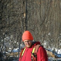 Andrew Gulya