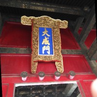 xinyu xia