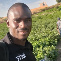Amadou Diarra