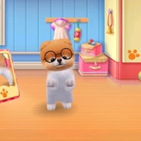 João pedro Leme lima da silva