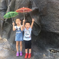 冯志飞