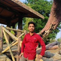 Vinay Gujar