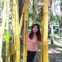May Thet Htwe
