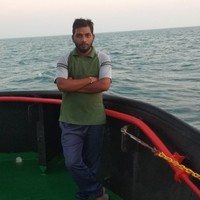 Avnish Kumar