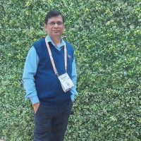Amitesh Kumar Srivastava
