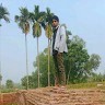 Anamul Sorkar