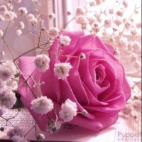 Subhas Rit